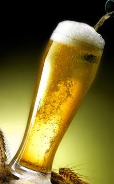 Mug of beer Stock Photos