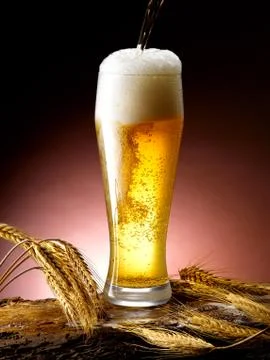Mug of beer Stock Photos
