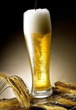 Mug of beer Stock Photos