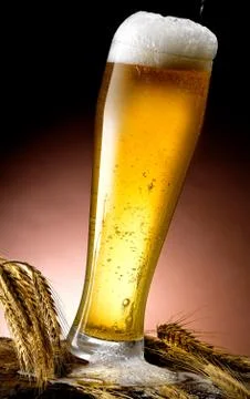 Mug of beer Stock Photos