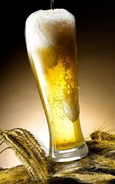 Mug of beer Stock Photos