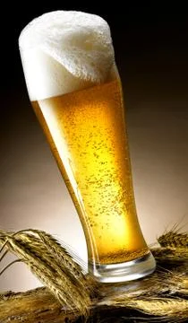 Mug of beer Stock Photos