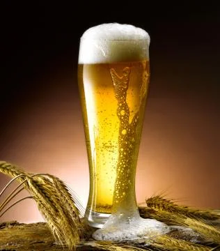 Mug of beer Stock Photos