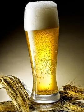 Mug of beer Stock Photos