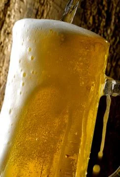 Mug of beer Stock Photos