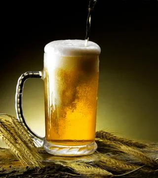 Mug of beer Stock Photos