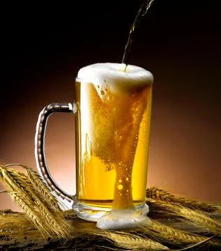 Mug of beer Stock Photos
