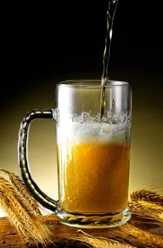 Mug of beer Stock Photos