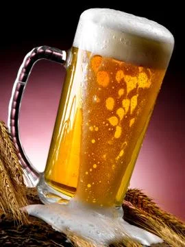 Mug of beer Stock Photos