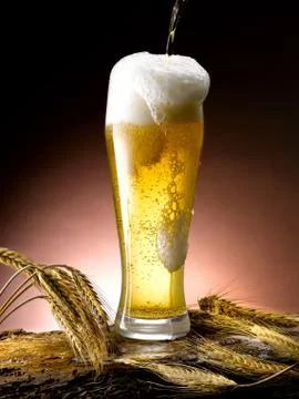 Mug of beer Stock Photos