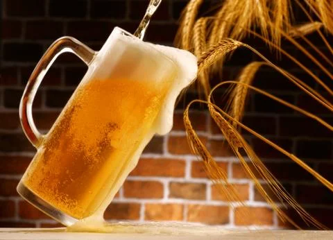 Mug of beer poured in rustic setting Stock Photos