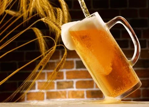 Mug of beer poured in rustic setting Stock Photos