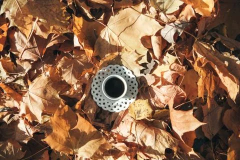 Mug of black tea. Foto stock