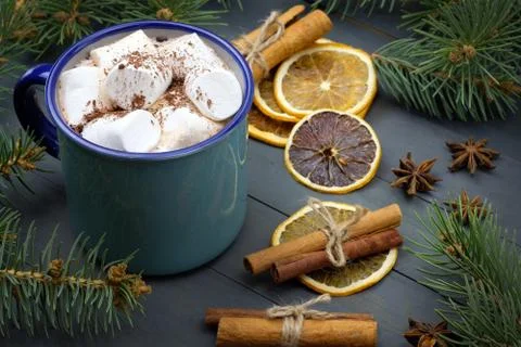 Mug of cocoa with marshmallows Foto stock