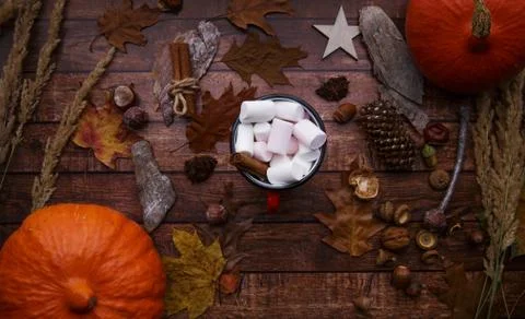 Mug of cocoa with marshmallows on the table with pumpkin leaves and pumpkin Stock Photos