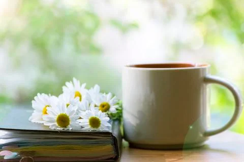 Mug, daisies, Notepad, glasses. The concept of a Sunny summer morning. Stock Photos