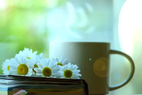 Mug, daisies, Notepad, glasses. The concept of a Sunny summer morning. 스톡 사진