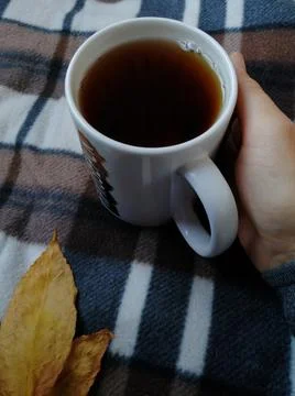 Mug in hand. 스톡 사진