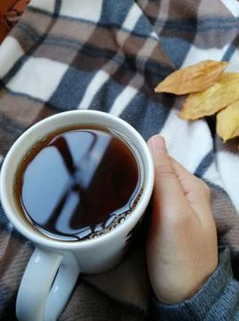 Mug in hand on plaid. Foto stock