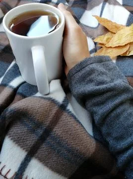 Mug in hand on plaid. 스톡 사진