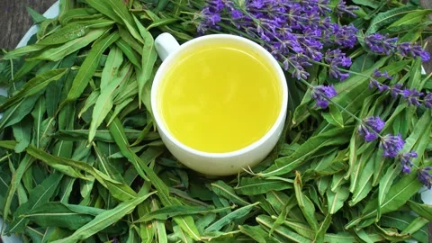 Mug with Ivan tea and lavender flower. Stock Footage 199294618