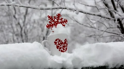 A Mug Out in the Snow Stock Footage 166735731