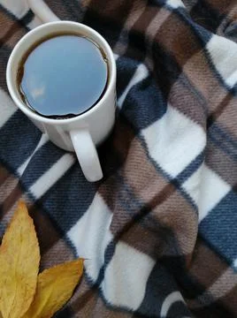 Mug on plaid. 스톡 사진