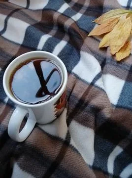 Mug on plaid. 스톡 사진