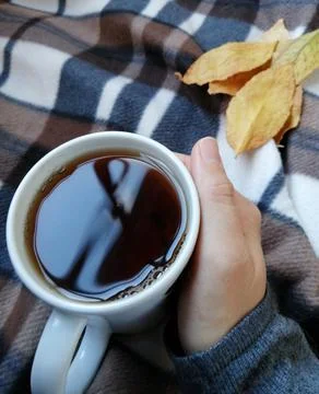 Mug on plaid. 스톡 사진