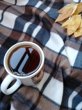 Mug on plaid. Foto stock