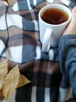 Mug on plaid. 스톡 사진