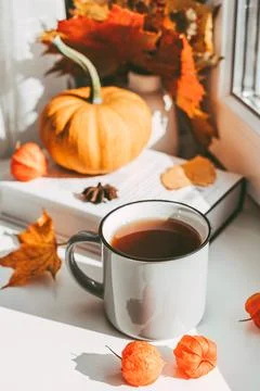 A mug of tea on the window next to a book, dry leaves in a vase and a pumpkin Stock Photos