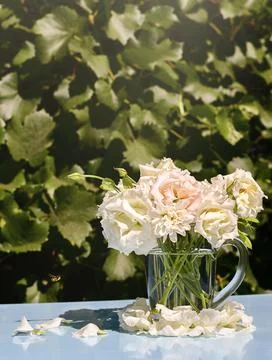 Mug with white flowers. Warm summers. Stock Photos