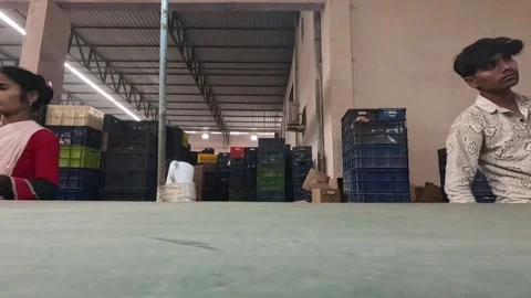 Mugs move through the facility on parallel conveyor lines toward sorting area Stock Footage 324899261