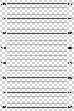 Mugshot background. The background used when a criminal is photographed. Stock Illustration