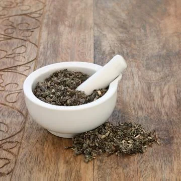 Mugwort Leaf Herb Stock Photos