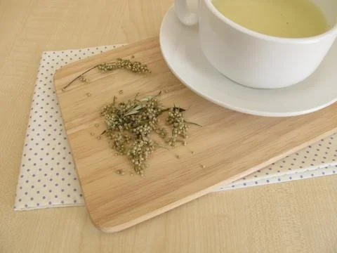 Mugwort tea Stock-Fotos