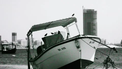 Muharraq beach in infrared Stock Footage 160472698