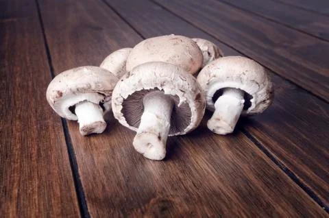 Muhrooms on table Stock Photos