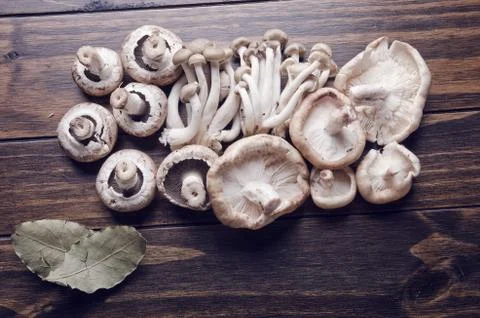 Muhrooms on table Stock Photos