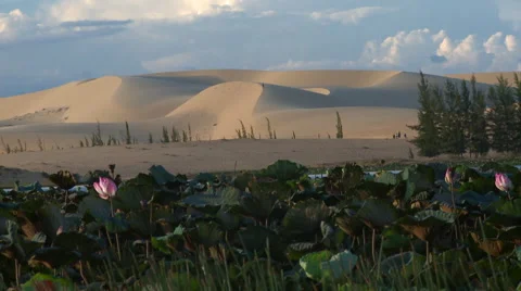 Mui Né sand dunes Video stock 51146435