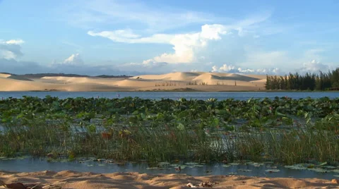 Mui Né sand dunes Video stock 51147232