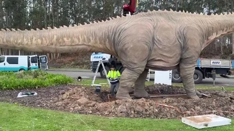 The MUJA features a replica of an 18-meter long diplodocus dinosaur, Oviedo, ES  Stock Footage 304000438