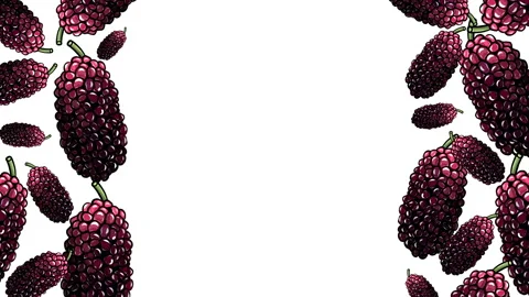 MULBERRİES 1SIDE FRAME 1 Stock Footage 167872808