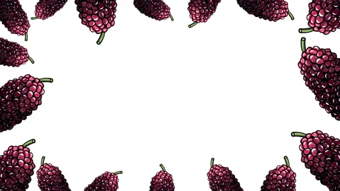 MULBERRİES FRAME Stock Footage 167872583