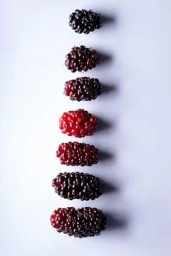 Mulberries fruit in macro view Foto stock