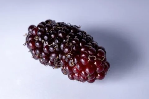 Mulberries fruit in macro view Stock Photos