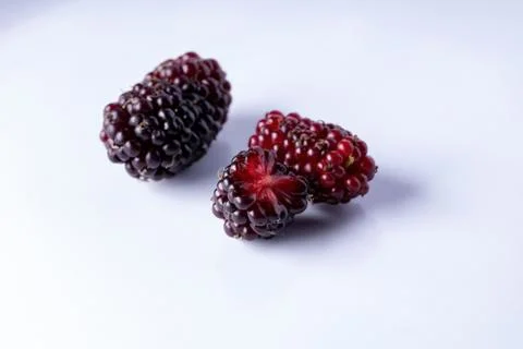 Mulberries fruit in macro view Stock Photos