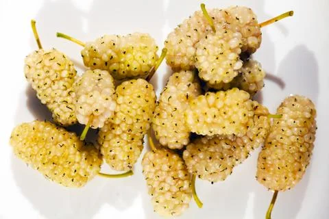 Mulberries Stock Photos