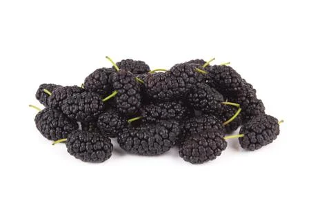 Mulberries Stock Photos